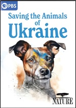 Saving The Animals Of Ukraine