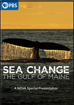 Sea Change: The Gulf Of Maine