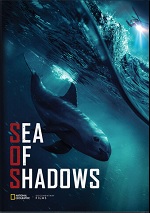 Sea Of Shadows