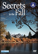 Secrets In The Fall