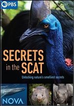 Secrets In The Scat
