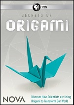 Secrets Of Origami