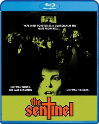 Sentinel (BLU-RAY)
