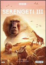 Serengeti III