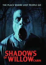 Shadows Of Willow Cabin