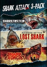 Shark Attack