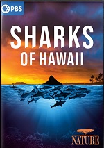 Sharks Of Hawaii