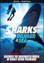 Sharks - Danger In The Sea