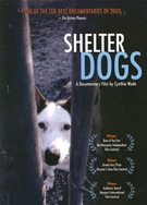Shelter Dogs