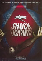 Shock Labyrinth