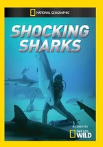 Shocking Sharks