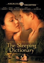 Sleeping Dictionary