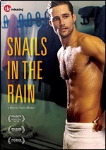 Snails In The Rain