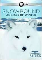 Snowbound - Animals Of Winter