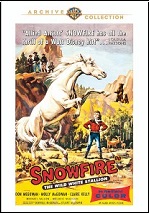 Snowfire