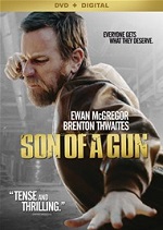 Son Of A Gun