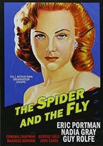 Spider And The Fly