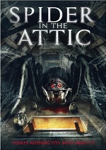 Spider In The Attic