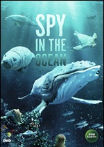 Spy In The Ocean