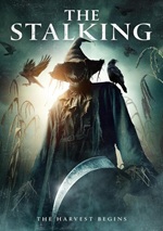 Stalking