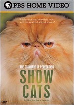 Standard Of Perfection - Show Cats