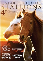 Star-Studded Stallions