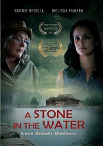 Stone In The Water