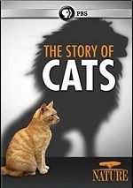 Story Of Cats