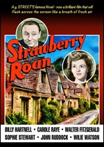 Strawberry Roan