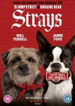 Strays