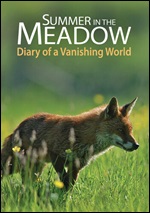 Summer In The Meadow: Diary Of A Vanishing World