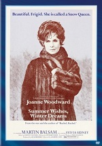 Summer Wishes, Winter Dreams