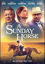 Sunday Horse