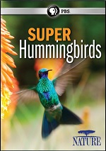 Super Hummingbirds