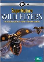 SuperNature - Wild Flyers