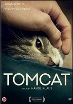 Tomcat