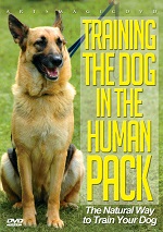 Training The Dog In The Human Pack