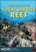 Treasures Of The Great Barrier Reef