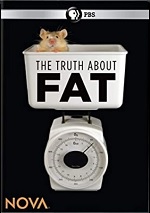 Truth About Fat