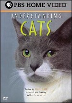 Understanding Cats