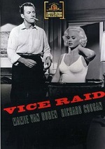 Vice Raid