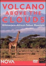 Volcano Above The Clouds