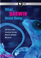 What Darwin Never Knew