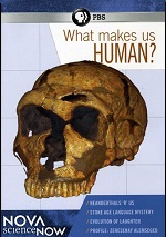 What Makes Us Human?