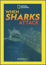 When Sharks Attack - Season 6
