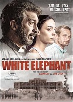 White Elephant