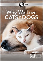 Why We Love Cats & Dogs