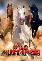 Wild Mustangs!