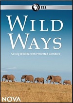 Wild Ways