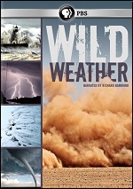 Wild Weather